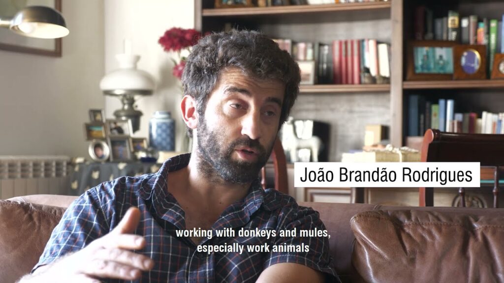 [fiber changed my life] João Brandão Rodrigues – Paredes de Coura