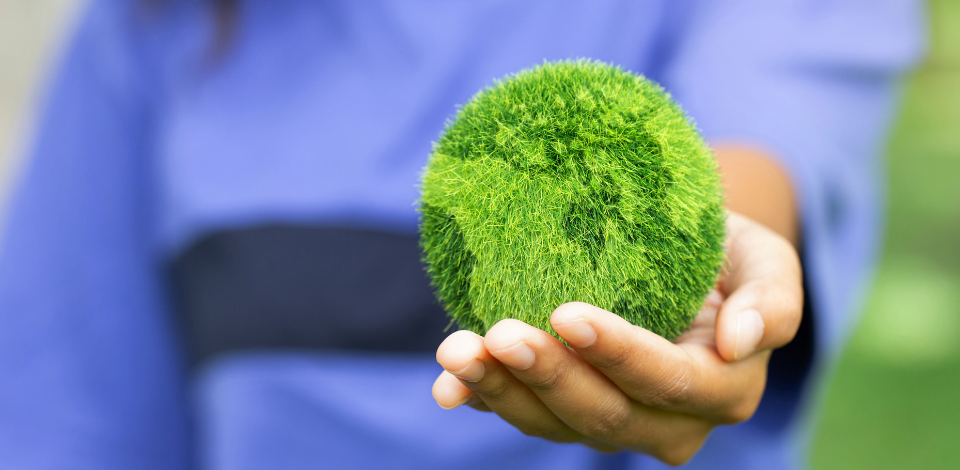 ESG: a sustentabilidade como um forte pilar do universo corporativo