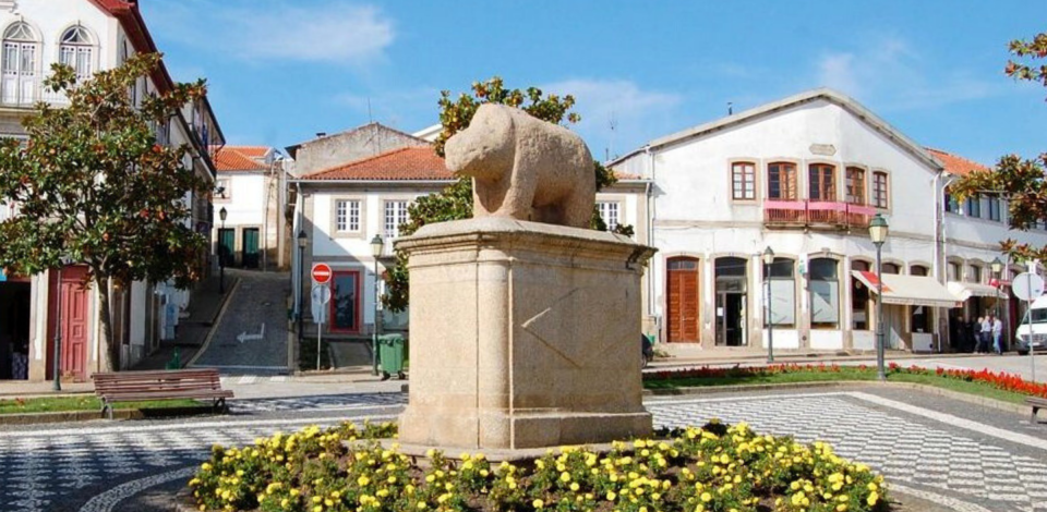 Fibra ótica chega a quase 5 mil casas em Murça