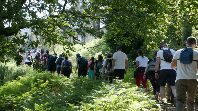 teambuilding dstelecom