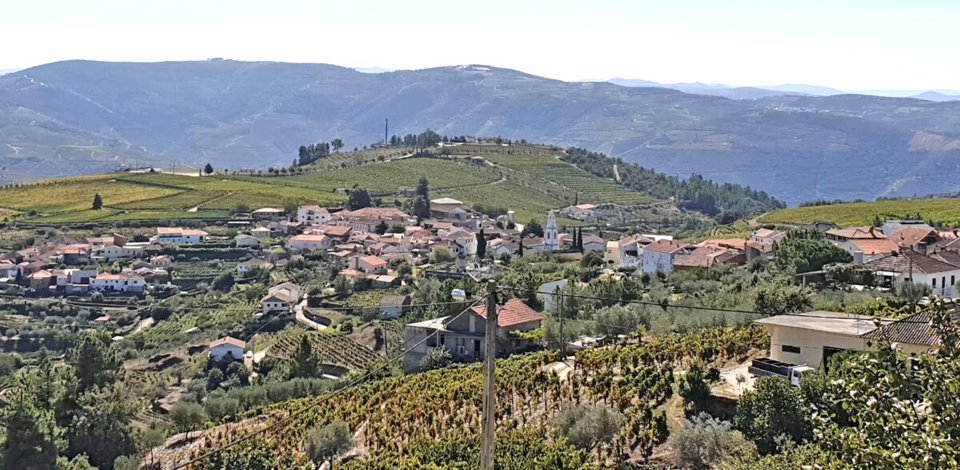 Alijó: fibra ótica vai chegar a 90% das casas do concelho