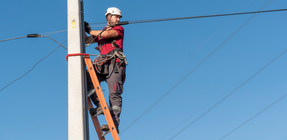Almodôvar: dstelecom investe 600 mil euros no reforço da rede de fibra ótica no concelho